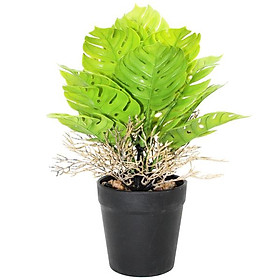 Chậu Cây Nhựa Trang Trí - WanLongDa 769-7