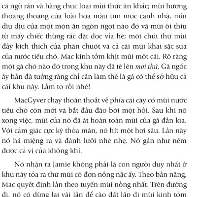 Nhân Duyên Mèo Định (FV)