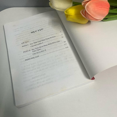 Sách - Duy Thức Tam Thập Tụng Dị Giản - Văn Thành Book