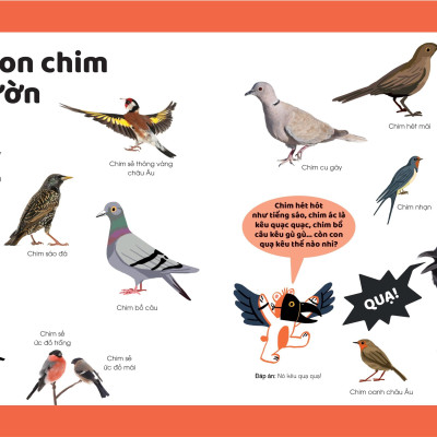 Khám Phá Đầu Tiên Của Tớ Về - Động Vật