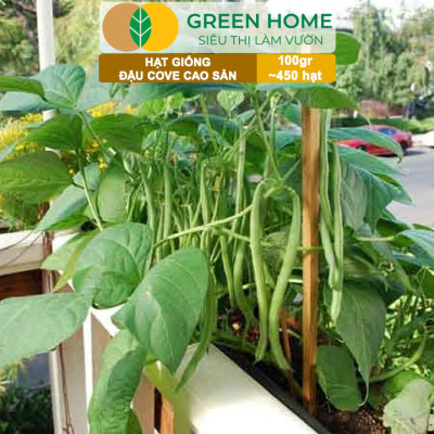 Hạt Giống Đậu Cove GreenHome, GÓI 100GR , Dễ Trồng, Nảy Mầm Cao, Thu Hoạch Nhanh, Năng Suất T45