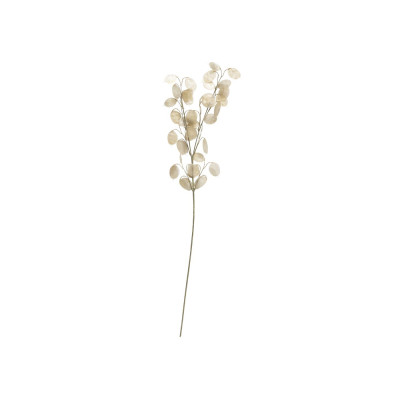 Hoa trang trí | JYSK Gregert | nhựa PP | be | C70cm