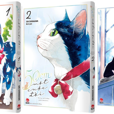 Boxset 50cm Một Cuộc Đời (Bộ 3 Tập)