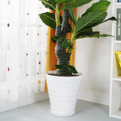 Combo từ 1 đén 2 chậu vòng tròn trồng cây cảnh bằng nhựa ABS bóng cao cấp M 32 cm x C 35cm Màu trắng