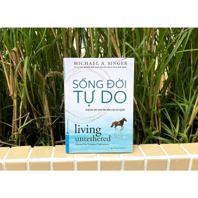 Sách - Sống Đời Tự Do - Michael A. Singer - First News