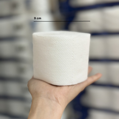 Lốc 10 Cuộn Giấy Vệ Sinh Không Lõi ASI 2 Lớp Giá Rẻ Tiết Kiệm Chất Lượng (10 cuộn/lốc)