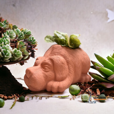 Chậu Gốm Đất Nung Hình Cún Dài 27cm X Cao 15cm