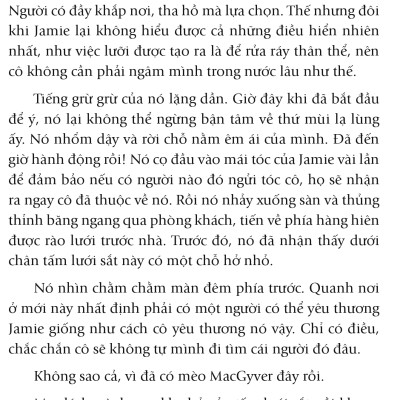 Nhân Duyên Mèo Định (FV)