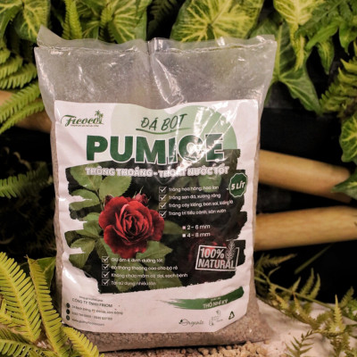 Đá bọt pumice, trộn giá thể trồng hoa hồng, cây kiểng, trồng xương rồng, sen đá, túi 5 lít