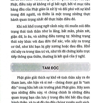 How To Meditate Like A Buddhist - Thiền Như Một Phật Tử (VL)