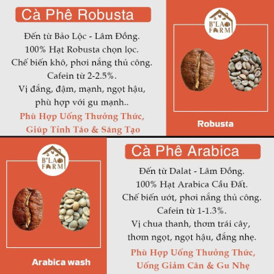 Cà phê nguyên chất BLEND B’Lao Farm 20% cà phê Robusta 80% cà phê Arabica cà phê rang mộc pha phin pha máy ngọt hậu B28