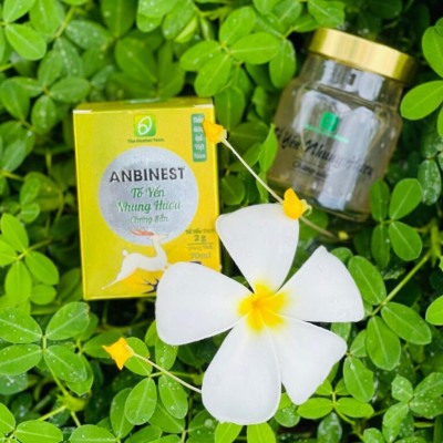 Tổ Yến Nhung Hươu Anbinest Dành Cho Người Già,Người Mới Khỏi Bệnh,Phụ Nữ Sau Sinh,Người Chơi Thể Thao,Trẻ Em 1 Hũ 70ml