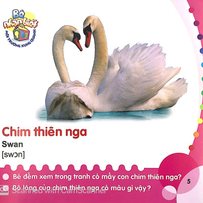 Bé Nhận Biết Môi Trường Xung Quanh (0 - 3 Tuổi) - Chim (Birds)