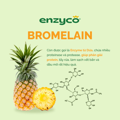 Nước rửa chén bát sinh học ENZYCO 850ml - Chiết xuất Bồ hòn và Enzyme Dứa