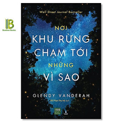 Sách - Nơi Khu Rừng Chạm Tới Những Vì Sao - Glendy Vanderah - Wall Street Journal Best Seller - 1980 Books