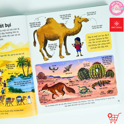 Sách thiếu nhi - Bách khoa tri thức cho trẻ em (3 tuổi trở lên) - Usborne - Đinh Tị Books