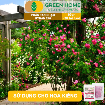 Phân Tan Chậm GreenHome, Rynan 240, Bao 90gr ~ 30 Túi Lưới 3gr, Dùng Cho Hoa Hồng Ra Hoa Đều Và Rực Rỡ