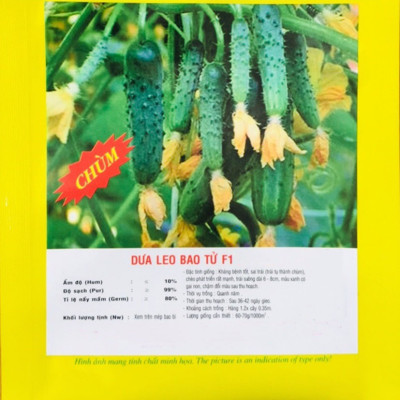 Hạt giống Dưa leo chùm -Dưa leo bao tử siêu quả giống khỏe ngắn ngày VTP56