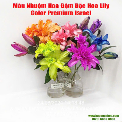 Thuốc Nước Nhuộm Hoa Lily (chai đậm đặc 100ml pha 1L nước màu hoàn chỉnh) công nghệ Israel nhuộm hoa lily cánh mỏng mà không bị cháy lá hoa