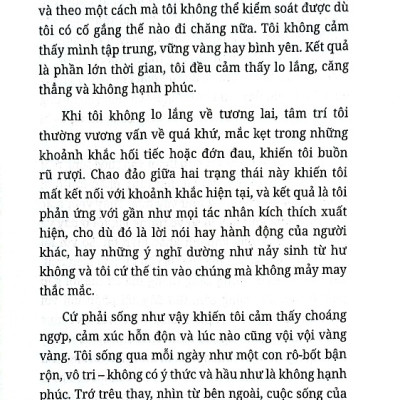 How To Meditate Like A Buddhist - Thiền Như Một Phật Tử (VL)