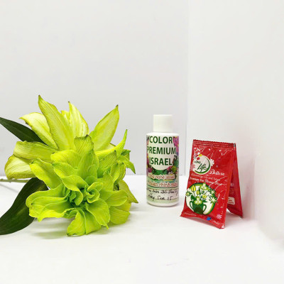 Thuốc Nước Nhuộm Hoa Lily (chai đậm đặc 100ml pha 1L nước màu hoàn chỉnh) công nghệ Israel nhuộm hoa lily cánh mỏng mà không bị cháy lá hoa