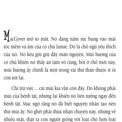 Nhân Duyên Mèo Định (FV)