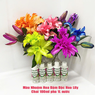 Thuốc Nước Nhuộm Hoa Lily (chai đậm đặc 100ml pha 1L nước màu hoàn chỉnh) công nghệ Israel nhuộm hoa lily cánh mỏng mà không bị cháy lá hoa
