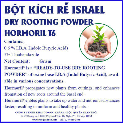 Tự Giâm Chiết Hoa Hồng tại nhà bằng Bột Kích rễ có trị nấm bệnh nhập khẩu Israel ( Hủ 100gr) dành cho cây thân gỗ hiệu quả và sát khuẩn vết cắt
