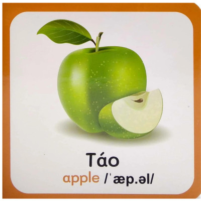 Từ Điển Bằng Hình Đầu Tiên Của Bé (VT)