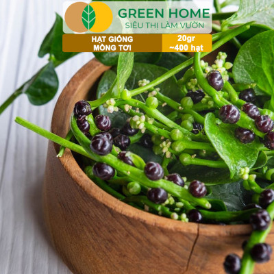 Hạt Giống Rau Mồng Tơi Greenhome, Gói 20g~400 hạt, Dễ Trồng Quanh Năm, Nảy Mầm Cao, Thu Hoạch Nhanh, Năng Suất Cao R11