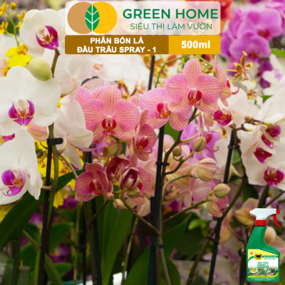 Phân Bón Lá Đầu Trâu Spray-1 Greenhome, Bình Điền, Chai 500ml, Nảy Chồi Ra Lá, Chuyên Lan Và Hoa Kiểng