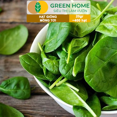 Hạt Giống Rau Mồng Tơi Greenhome, Gói 20g~400 hạt, Dễ Trồng Quanh Năm, Nảy Mầm Cao, Thu Hoạch Nhanh, Năng Suất Cao R11