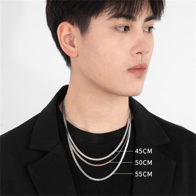 Dây Chuyền Xương Rắn Thép Titan, Thời Trang Và Tối Giản, Dành Cho Nam Giới, Phụ Kiện Hip-Hop