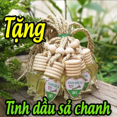 Combo 500g Khổ Qua Rừng Sấy Khô Shop Thảo Dược - Tốt Cho Bệnh Tiểu Đường, Huyết Áp Cao - Tặng 1 Chai Tinh Dầu Sả Chanh 8ml 