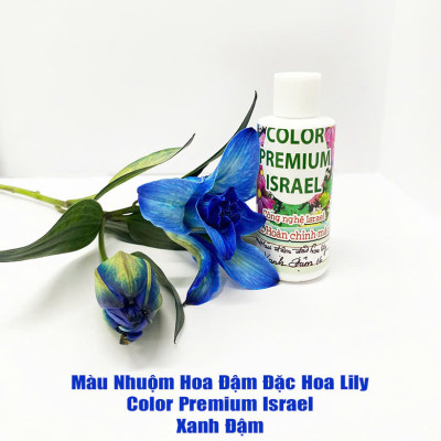 Thuốc Nước Nhuộm Hoa Lily (chai đậm đặc 100ml pha 1L nước màu hoàn chỉnh) công nghệ Israel nhuộm hoa lily cánh mỏng mà không bị cháy lá hoa