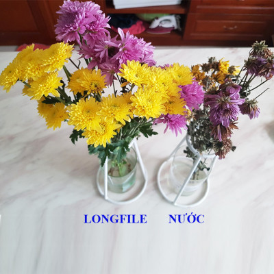 GÓI DƯỠNG HOA TƯƠI LONGLIFE CỦA ISRAEL (COMBO 30 GÓI), GIỮ HOA TƯƠI LÂU GẤP 2 LẦN VÀ 14 NGÀY KHÔNG THAY NƯỚC MỚI