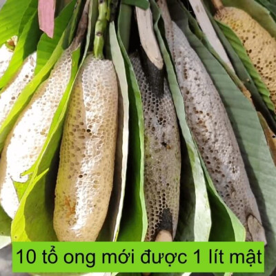 Mật ong ruồi và Mật ong rừng U Minh - Combo 2 Chai 300ml, Mật ong khai thác tự nhiên, không nuôi, OGINBEE