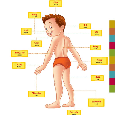 Từ Điển Bằng Hình Của Tôi: Em Thích Miêu Tả (Dành Cho Trẻ Từ 4 - 6 Tuổi)