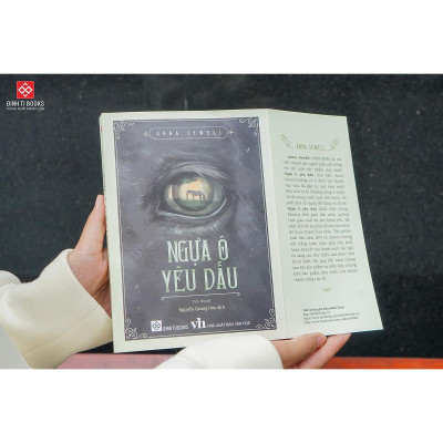 Sách - Ngựa Ô Yêu Dấu - Anna Sewell - Đinh Tị Books