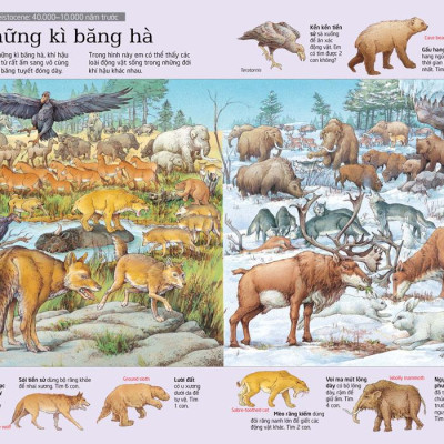 Thử Tài Tìm Kiếm - Thành Phố (Tái Bản 2023)