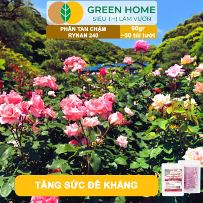 Phân Tan Chậm GreenHome, Rynan 240, Bao 90gr ~ 30 Túi Lưới 3gr, Dùng Cho Hoa Hồng Ra Hoa Đều Và Rực Rỡ