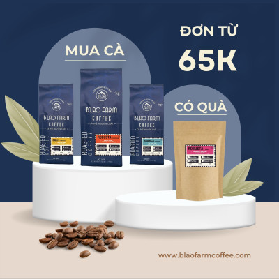 Cà phê Arabica cầu đất B