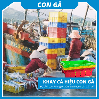 Khay nhựa đựng trái cây siêu bền Siam Brothers - Vàng