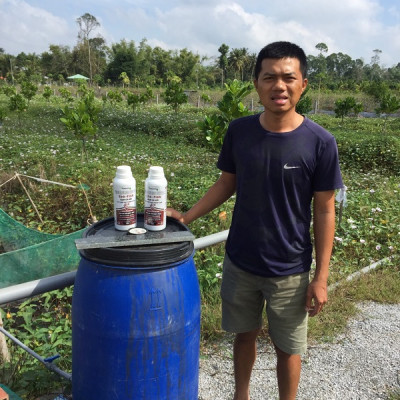 Ecofish Đạm cá thủy phân, chuyên dùng cho cây ăn trái phát triển bộ RỄ. Chai 1 Lít