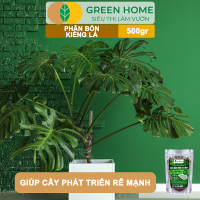Phân Bón Kiểng Lá GreenHome, Sfarm, Bao 500gr, Chuyên Cho Các Dòng Kiểng Lá Trong Nhà Và Ngoài Trời