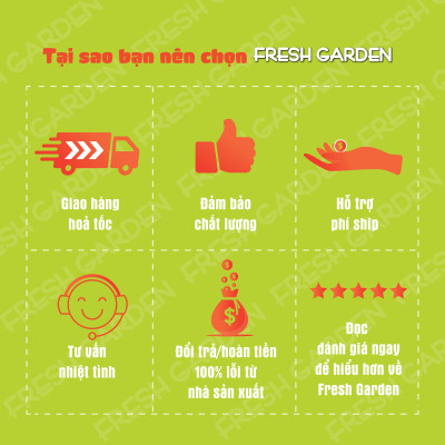 Bánh Quy Nướng Hạnh Nhân FRESH GARDEN Giàu Dinh Dưỡng Tốt Cho Sức Khỏe Hộp 100g