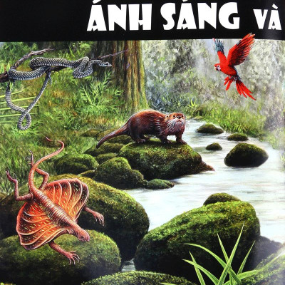 Tủ Sách Thế Giới Động Vật - Giác Quan Và Giao Tiếp (Hình Minh Họa 3D)