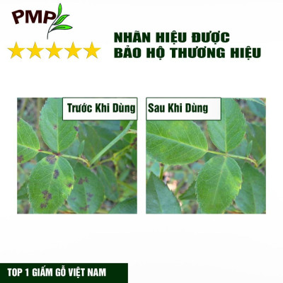 Giấm Gỗ Sinh Học APY PMP Kháng Đốm Lá, Đốm Đen, Vàng Lá, Phấn Trắng Cho Hoa Hồng, Rau Sạch, Lan, Cây Cảnh Chai 500ml