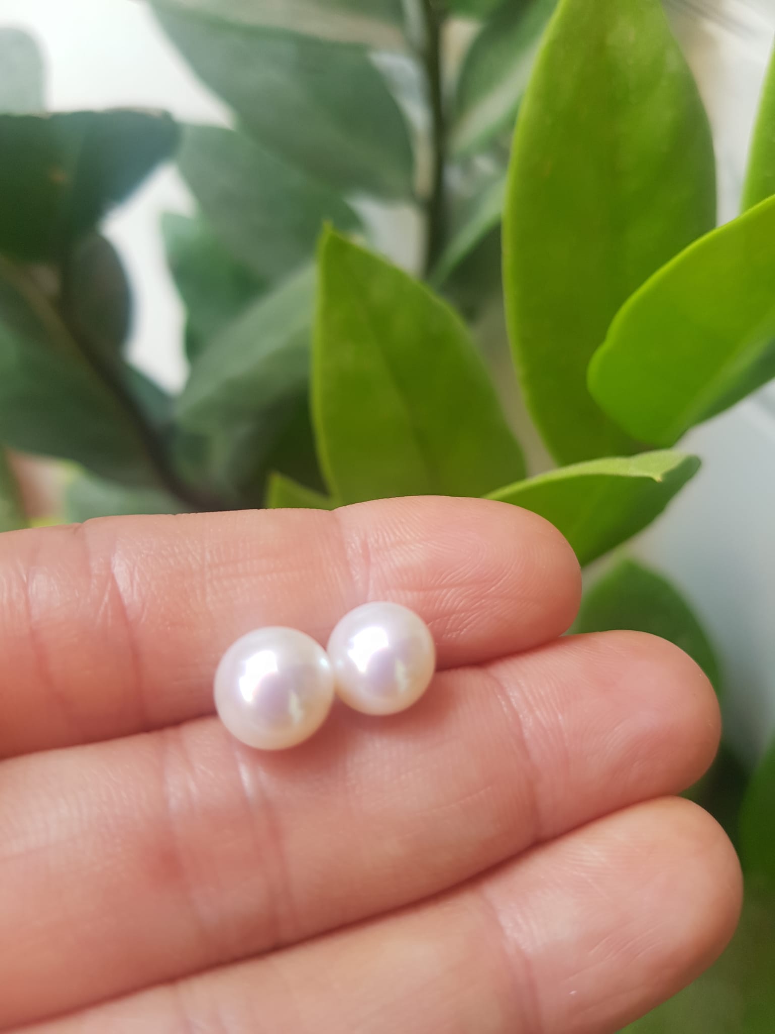 Đôi Bông Ngọc Trai Cao Cấp Bóng Đẹp Cặp Bông tai màu Trắng Bóng size 8mm vừa đẹp Nữ Bọc Vàng đeo lên tay vừa đẹp vừa sang ạ