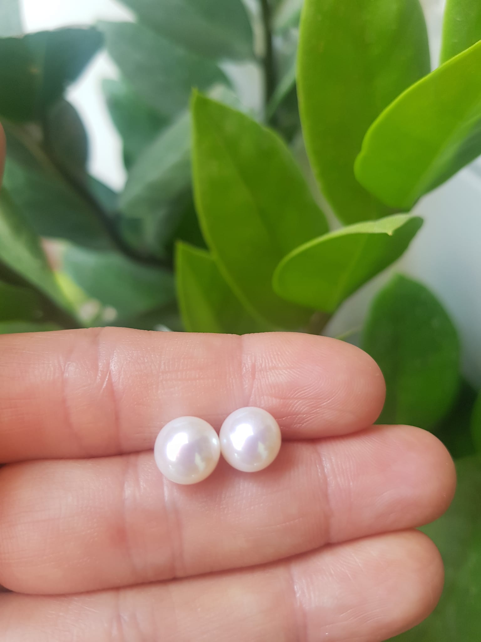 Đôi Bông Ngọc Trai Cao Cấp Bóng Đẹp Cặp Bông tai màu Trắng Bóng size 8mm vừa đẹp Nữ Bọc Vàng đeo lên tay vừa đẹp vừa sang ạ